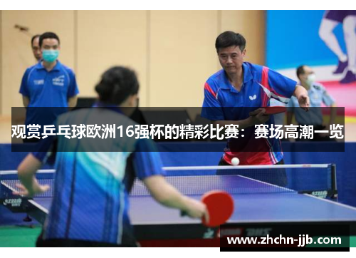 观赏乒乓球欧洲16强杯的精彩比赛：赛场高潮一览