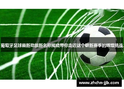 葡萄牙足球最新劲旅新名称揭晓带你走近这个崭新赛季的辉煌挑战