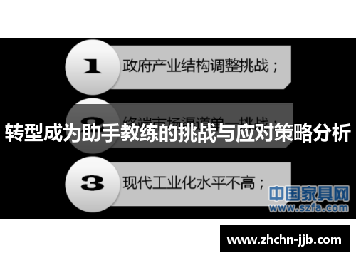 转型成为助手教练的挑战与应对策略分析