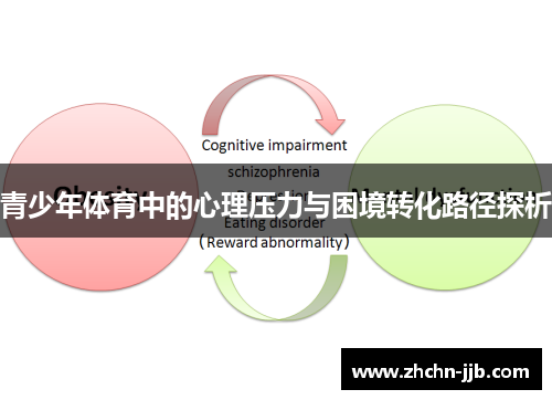 青少年体育中的心理压力与困境转化路径探析