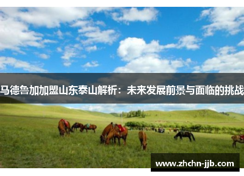 马德鲁加加盟山东泰山解析：未来发展前景与面临的挑战