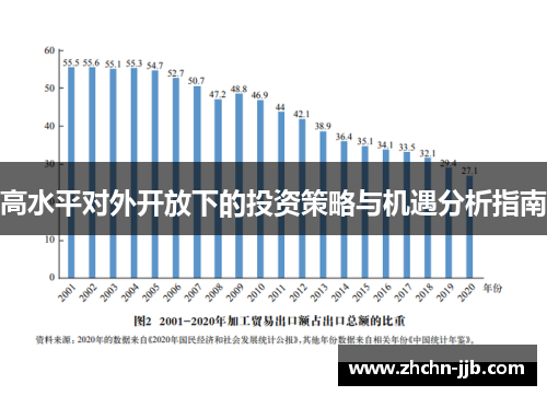高水平对外开放下的投资策略与机遇分析指南